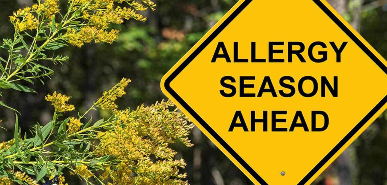 Why-Do-Allergies-Occur