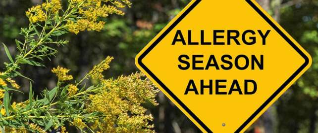 Why-Do-Allergies-Occur