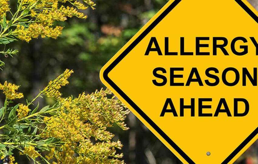 Why-Do-Allergies-Occur