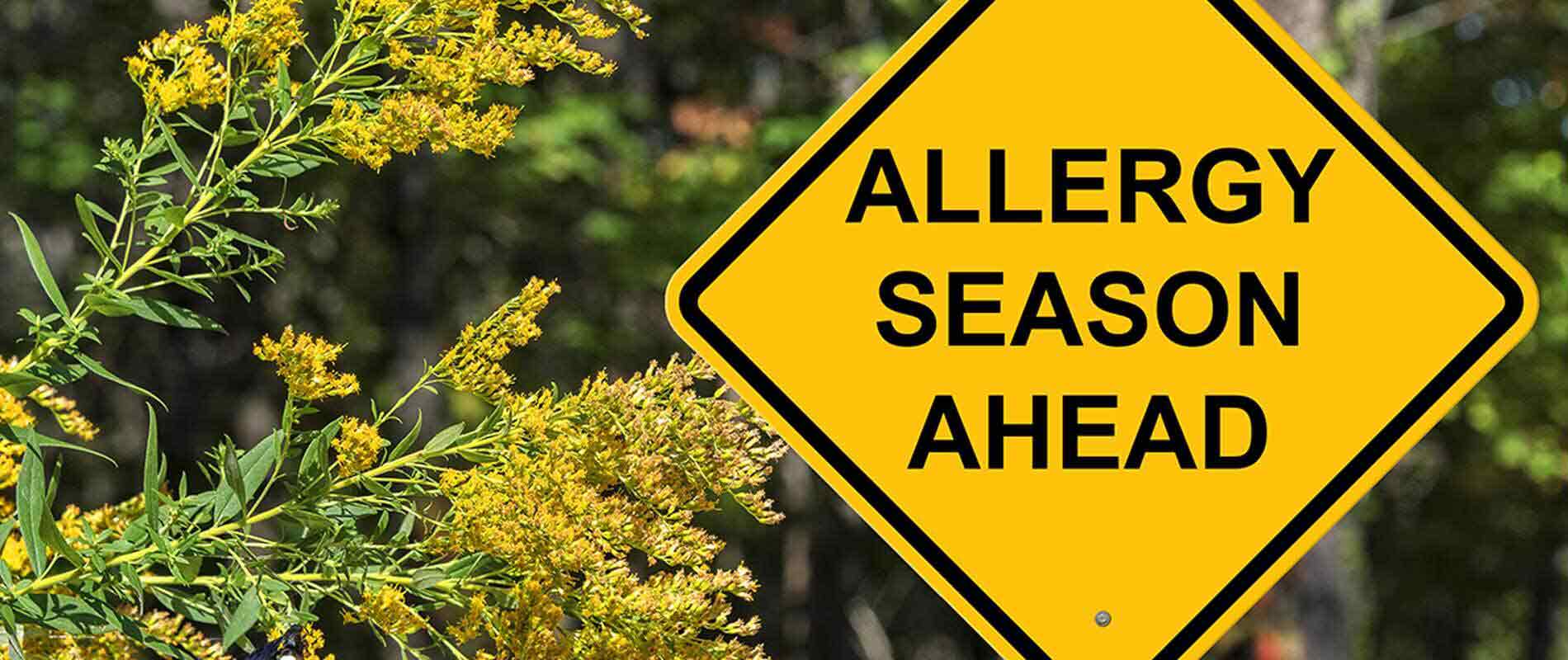 Why-Do-Allergies-Occur