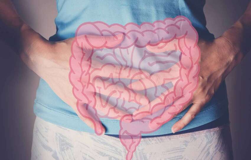 allergies and gut health