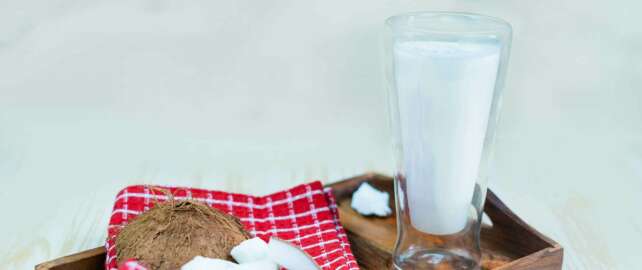 Coconut Milk Recipe