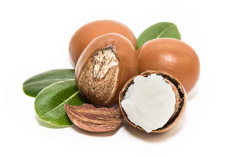 Coconut Oil Lip Balm
