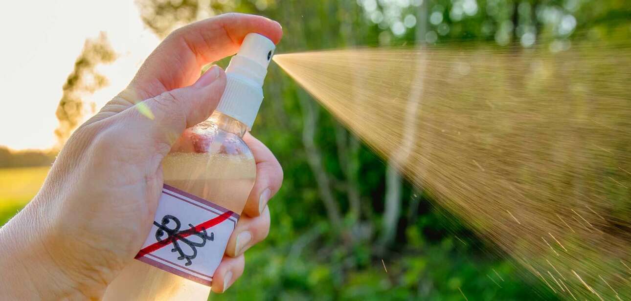 DIY homemade mosquito repellents