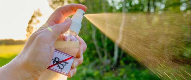 DIY homemade mosquito repellents