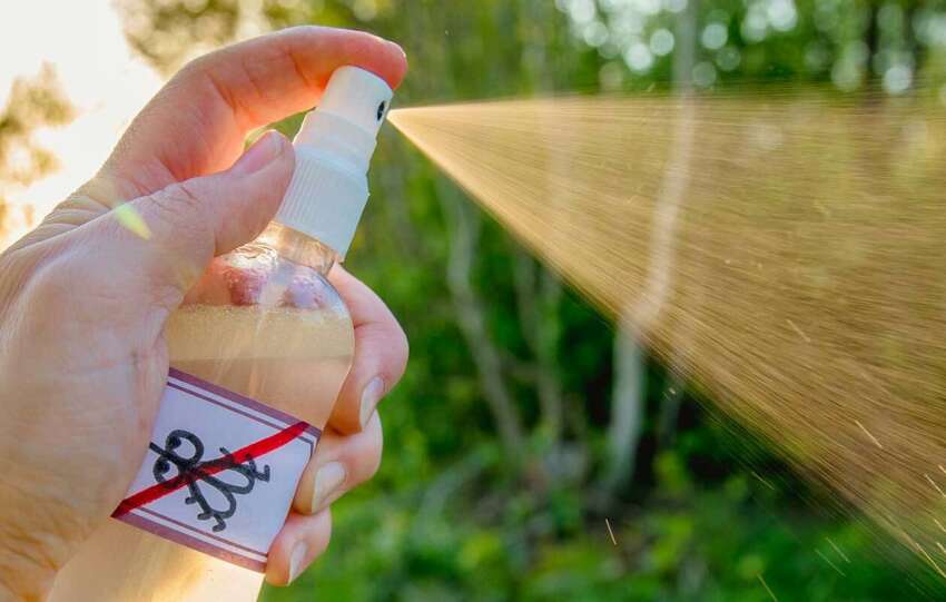 DIY homemade mosquito repellents