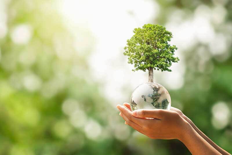 Environmental Sustainability