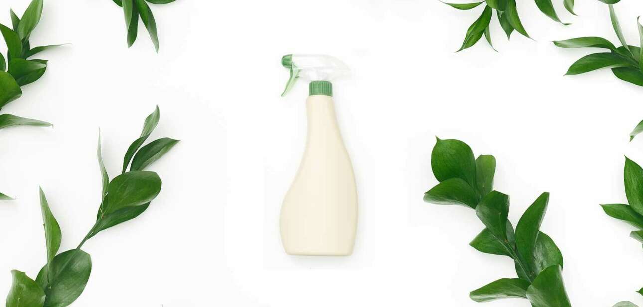 Homemade Plant Fertilizers