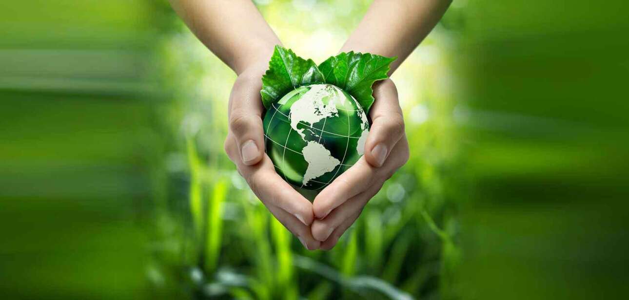 Role of Individuals in Environmental Protection