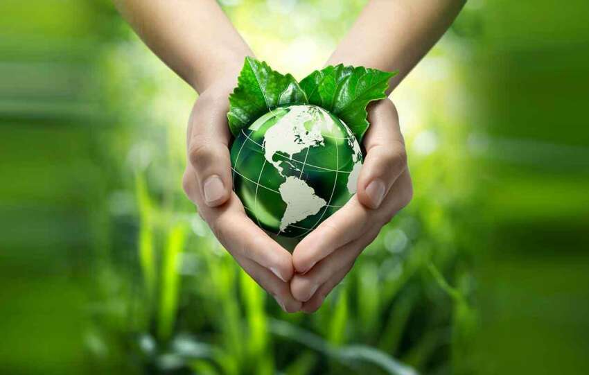 Role of Individuals in Environmental Protection