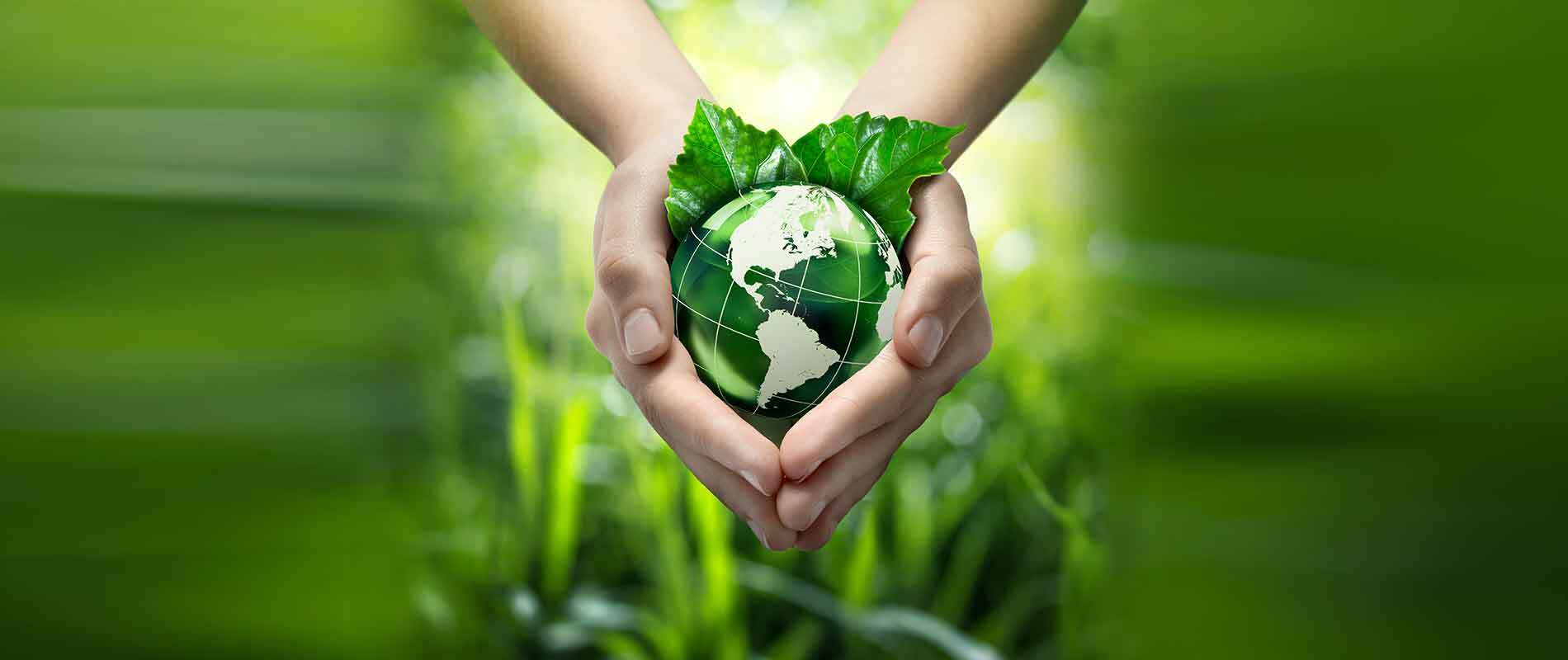 Role of Individuals in Environmental Protection