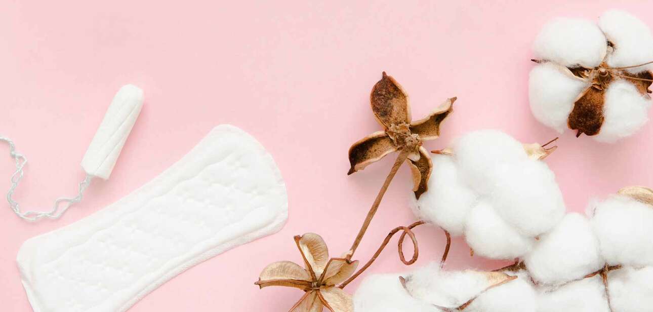 Biodegradable Sanitary Pads