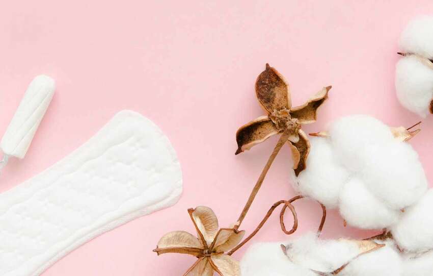 Biodegradable Sanitary Pads