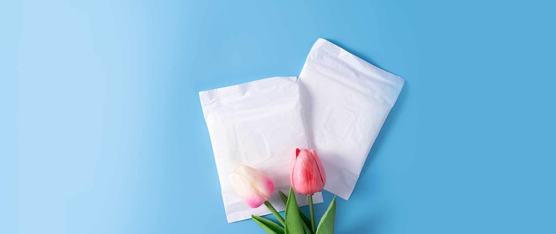 Dispose Of Sanitary Pads