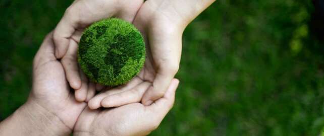 Save Environment