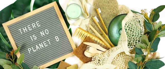 Importance Of Eco-Friendly Products