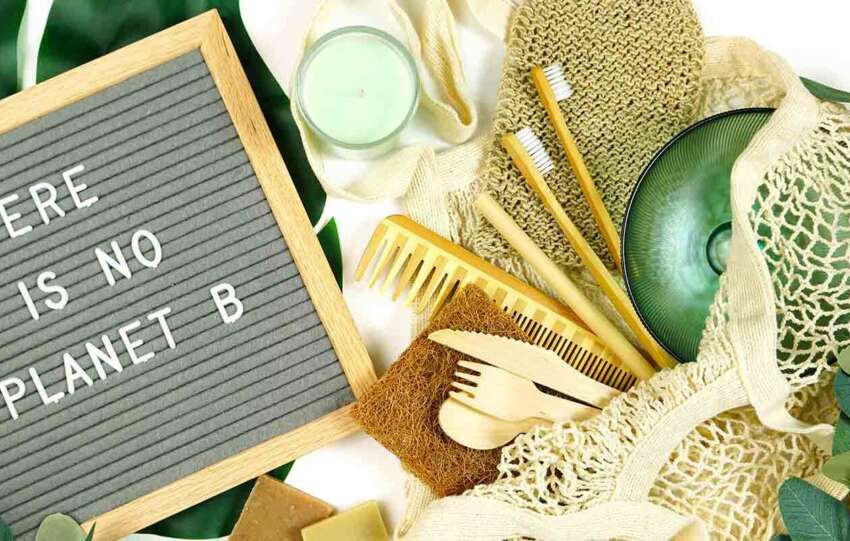 Importance Of Eco-Friendly Products