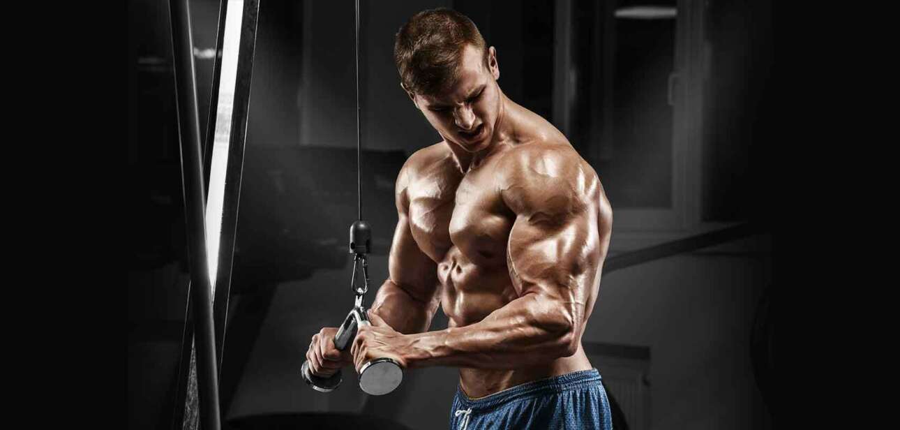 Workout For Triceps