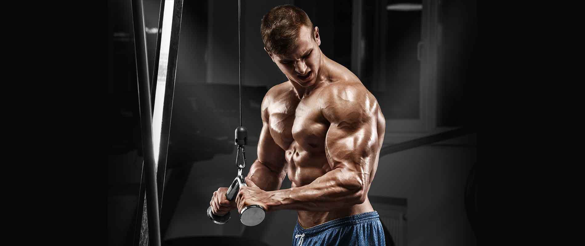 Workout For Triceps