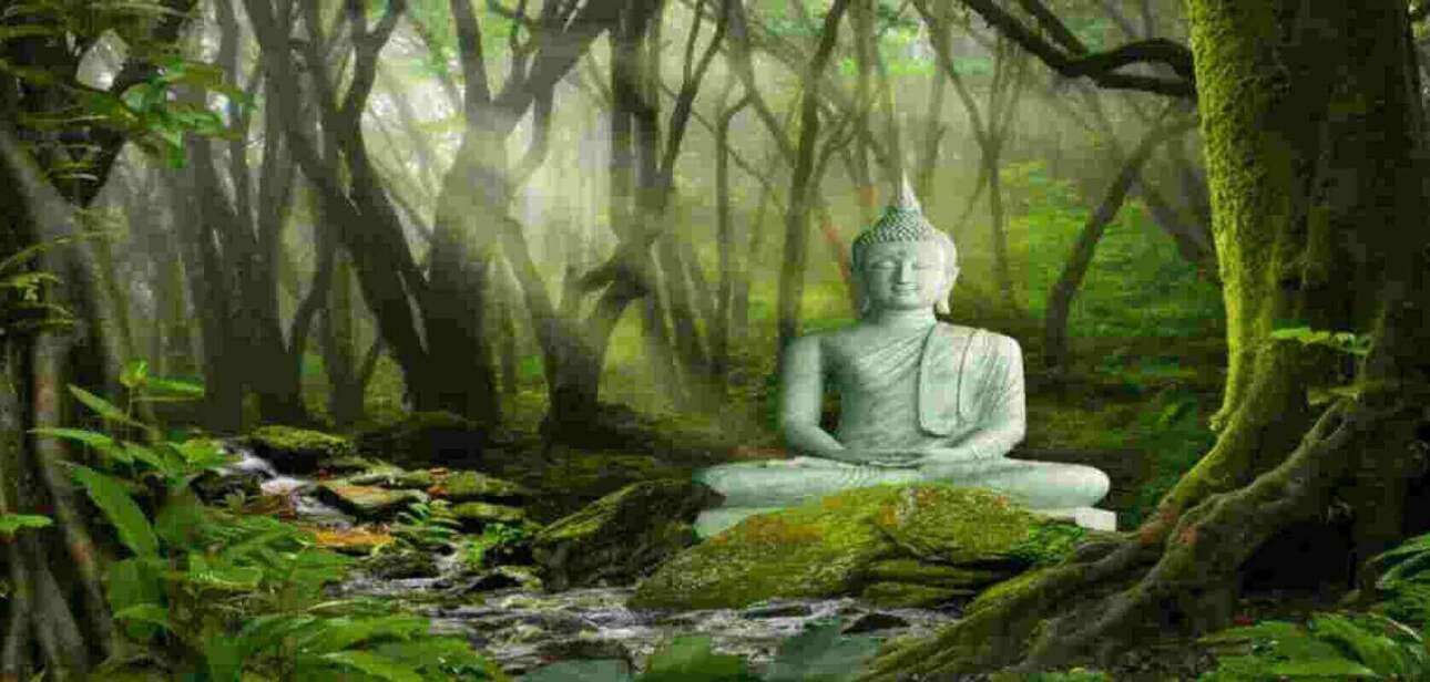 anapana meditation technique