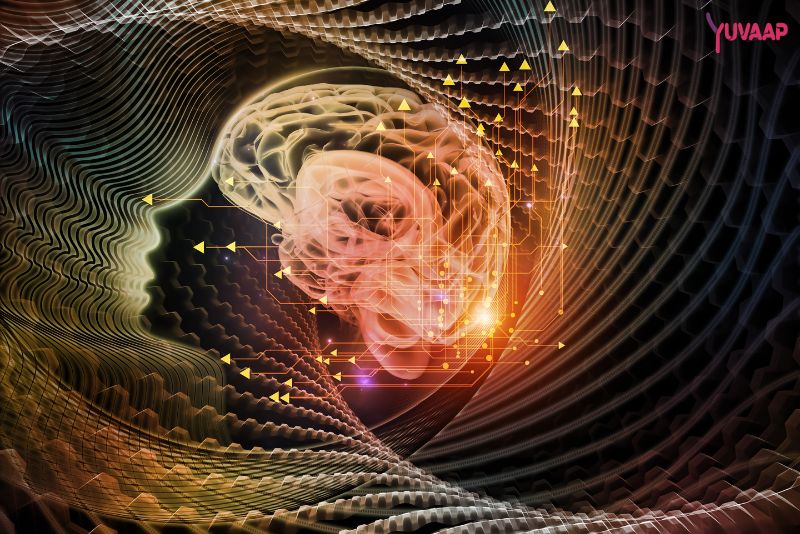 Observation of Mindfulness